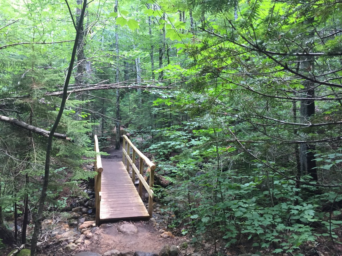 Four Favorite Fall Foliage Hikes in the White Mountains