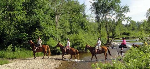 franconia-notch-stables.jpg