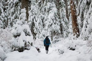 winter hiking in nh