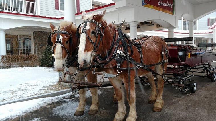 Riverwalk-horse-sleigh-ride.jpg