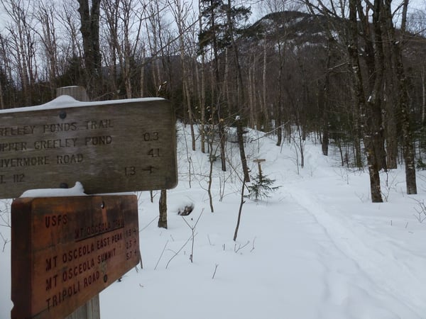 greeley pond trail