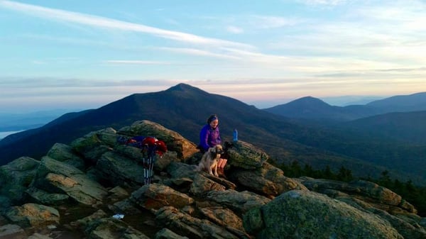 hiking with your dog in the summer 